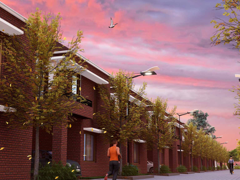 bluejay anandproject-image